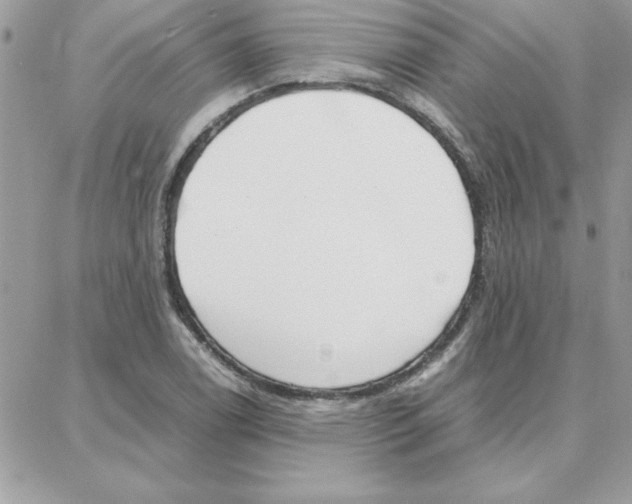 X0000087751122200706041055