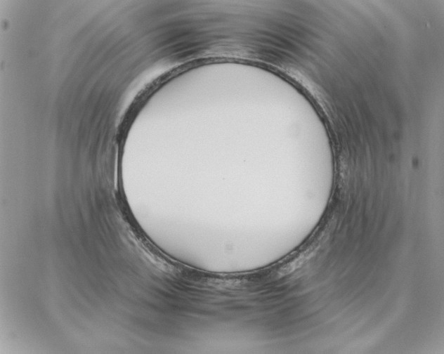 X0000087751123200706041055