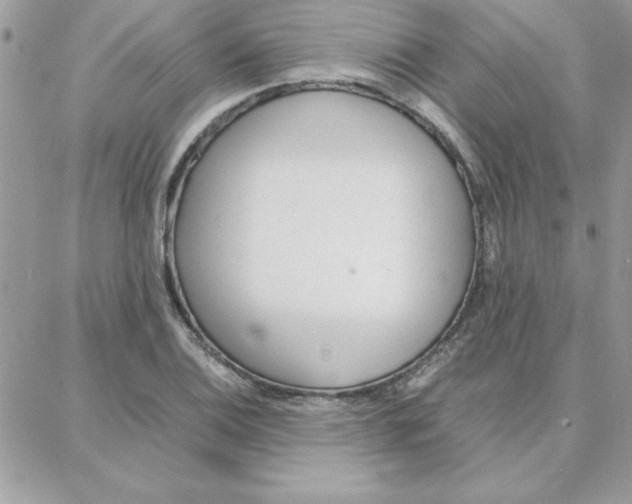 X0000087751124200706041055