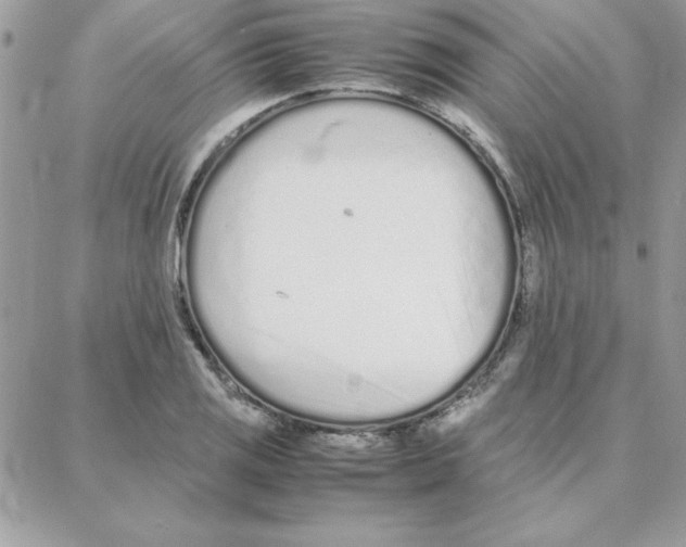 X0000087751125200706041055