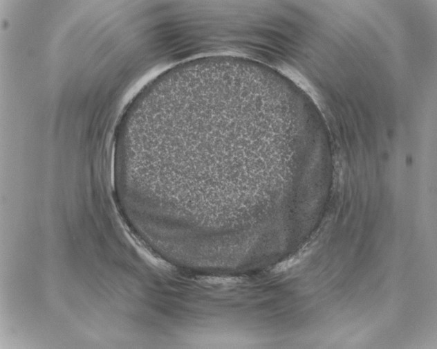 X0000087751127200706041055