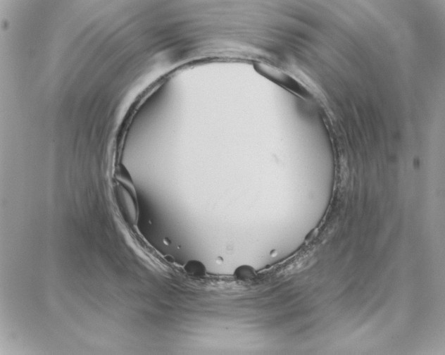 X0000087751128200706041055