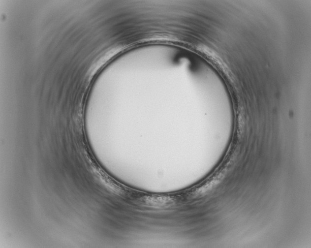 X0000087751129200706041055