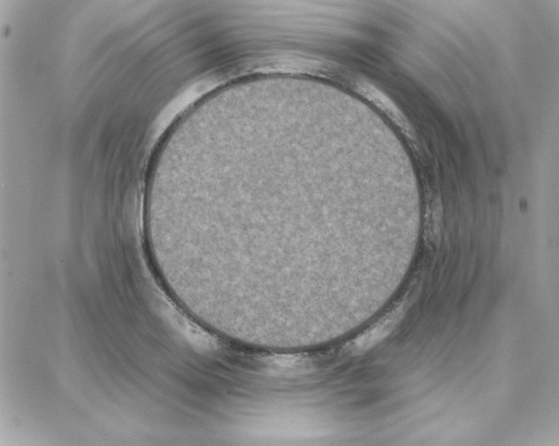 X0000087751130200706041055