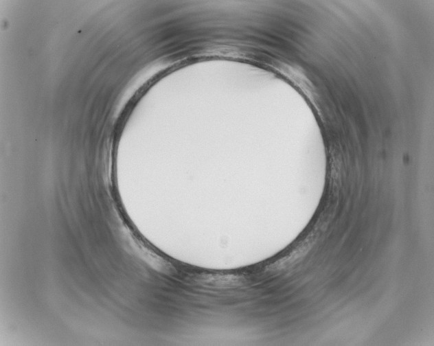 X0000087751131200706041055