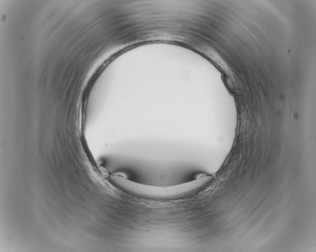 X0000087751132200706041055