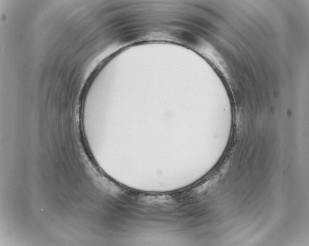 X0000087751133200706041055