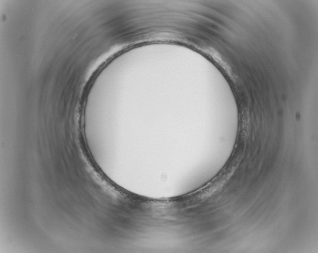 X0000087751134200706041055