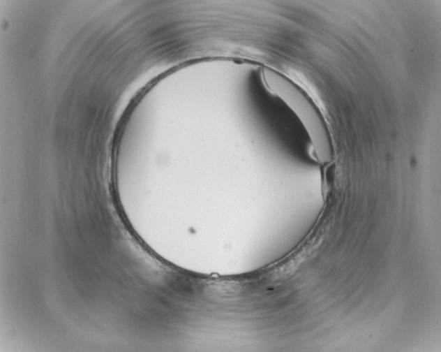 X0000087751136200706041055