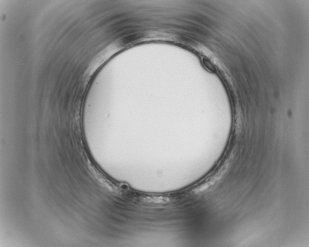 X0000087751137200706041055