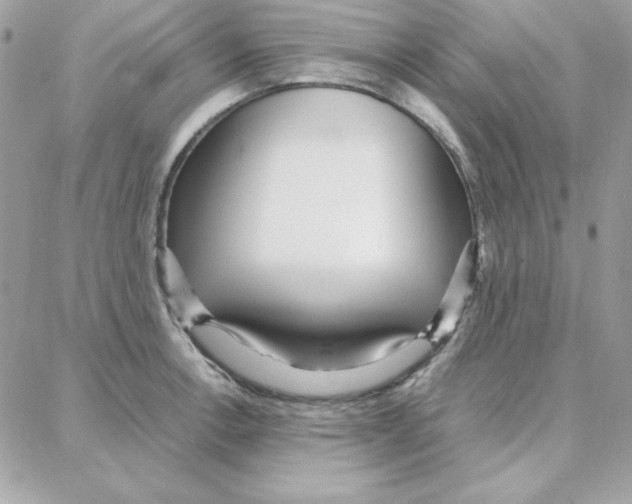 X0000087751138200706041055