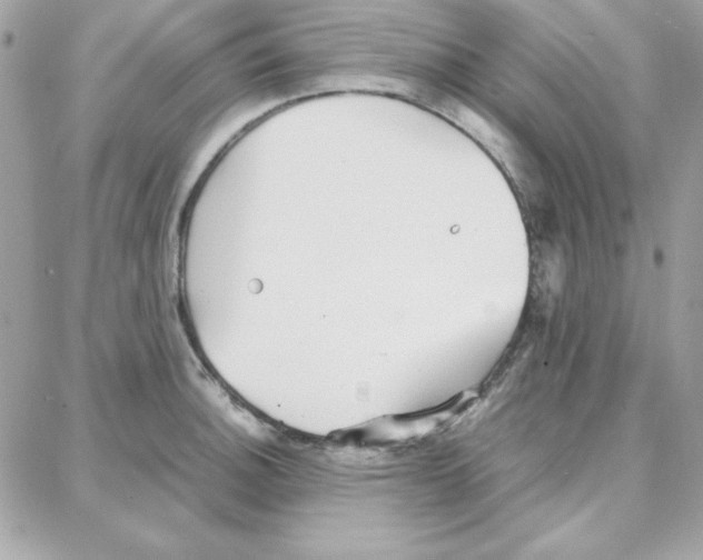 X0000087751140200706041055