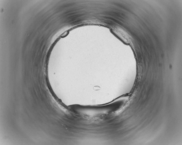 X0000087751141200706041055