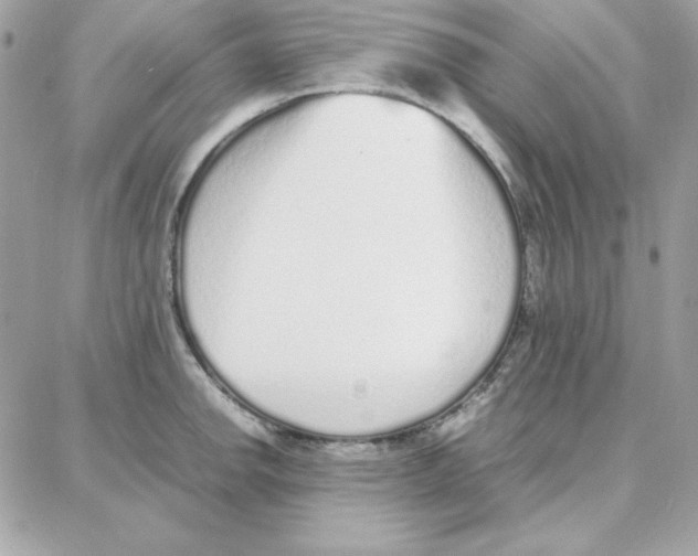 X0000087751142200706041055