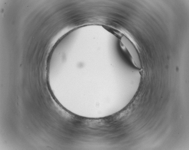 X0000087751143200706041055