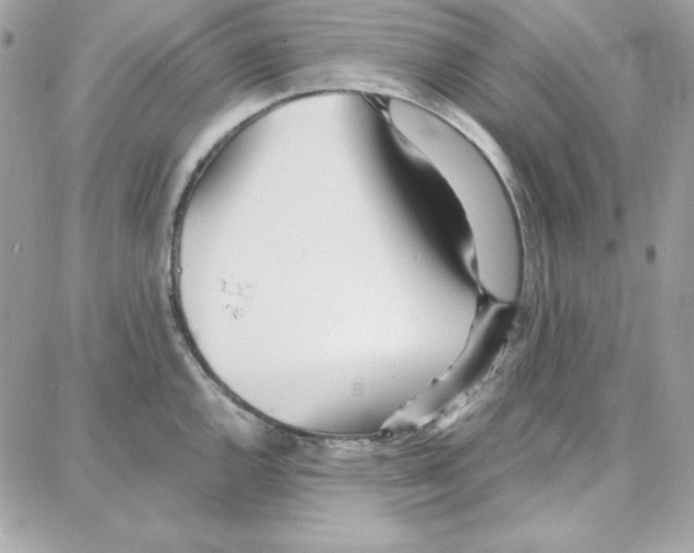 X0000087751144200706041055