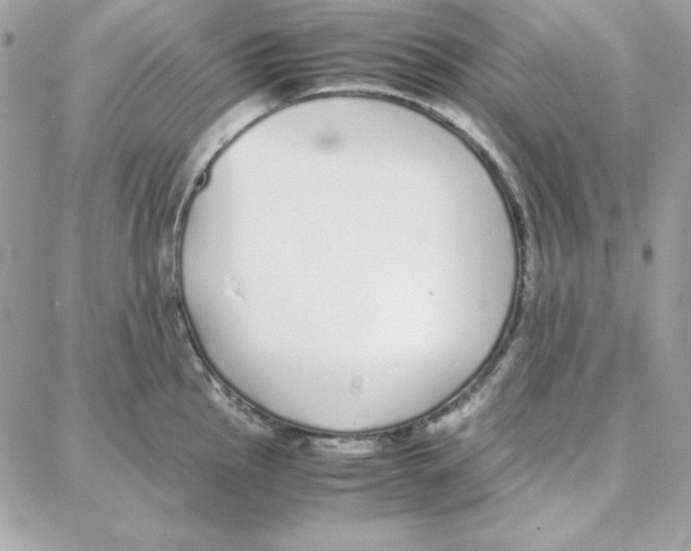 X0000087751145200706041055