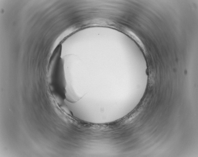 X0000087751146200706041055