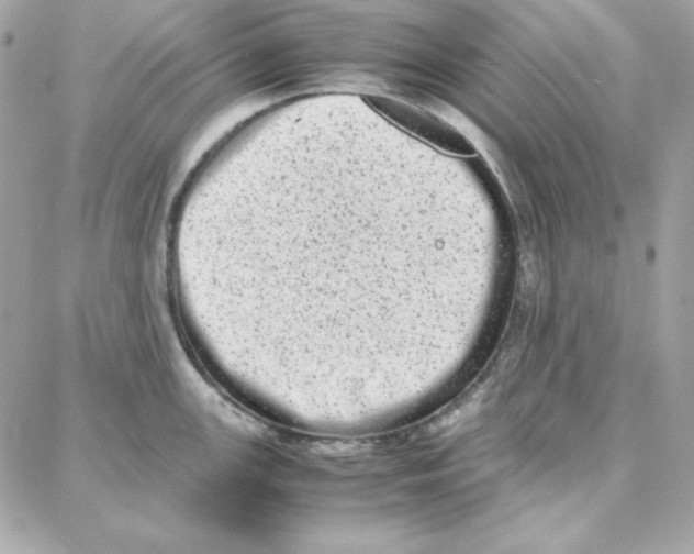 X0000087751147200706041055