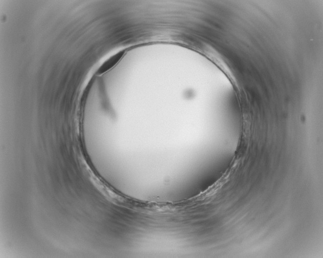 X0000087751148200706041055