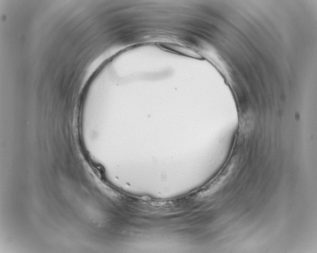 X0000087751149200706041055