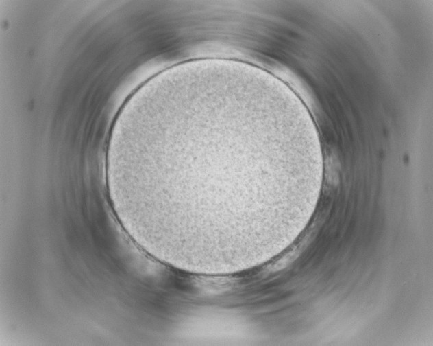 X0000087751150200706041055