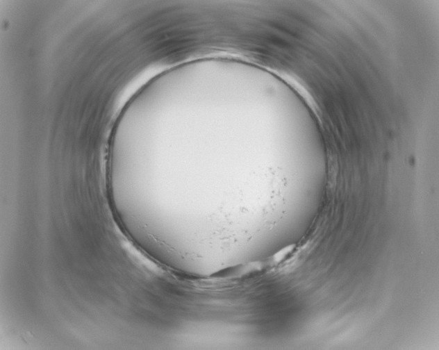 X0000087751151200706041055