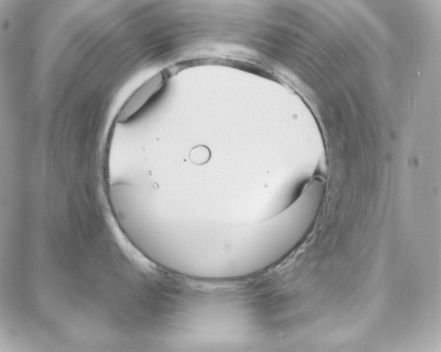 X0000087751152200706041055