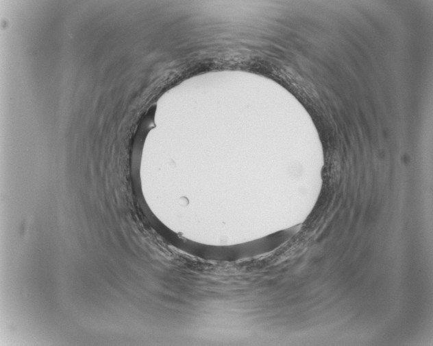 X0000087751153200706041054