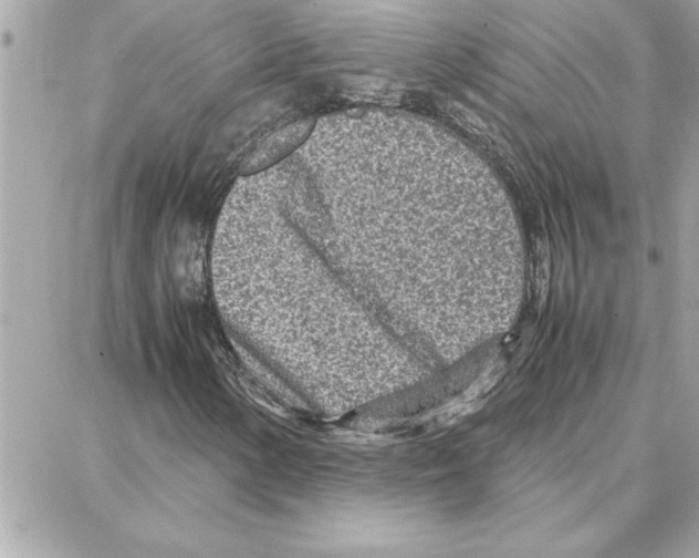 X0000087751154200706041054