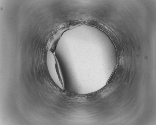 X0000087751156200706041054