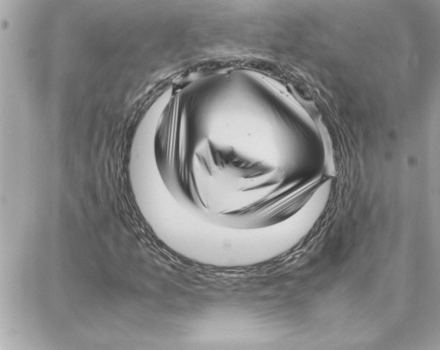 X0000087751157200706041054