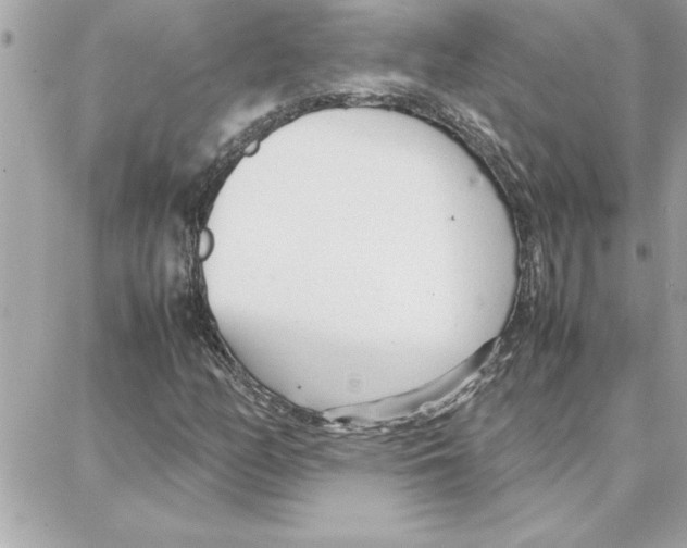 X0000087751158200706041054