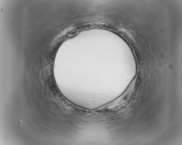 X0000087751159200706041054