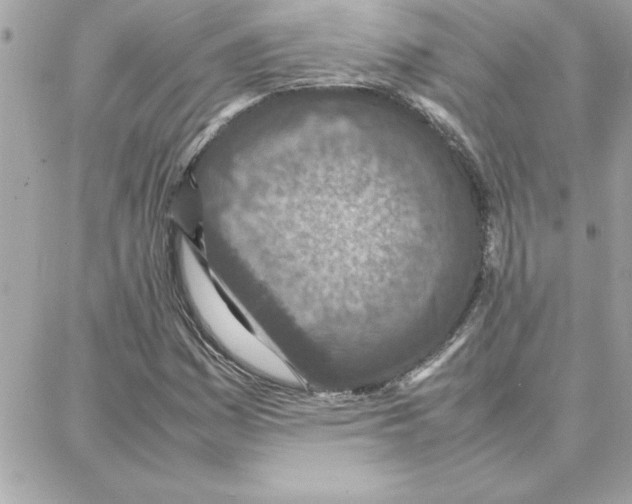 X0000087751161200706041054