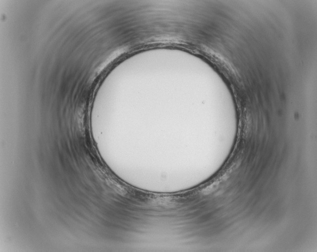 X0000087751162200706041054