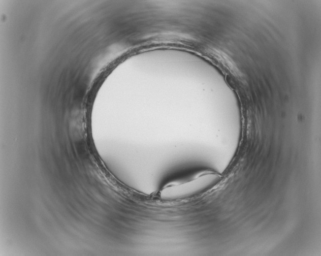 X0000087751164200706041054