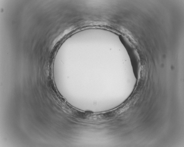 X0000087751165200706041054