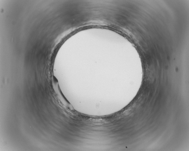 X0000087751168200706041054