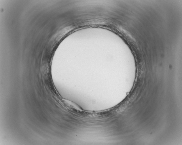 X0000087751169200706041054