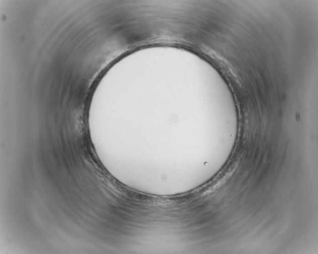 X0000087751170200706041054