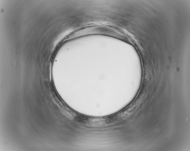 X0000087751171200706041054