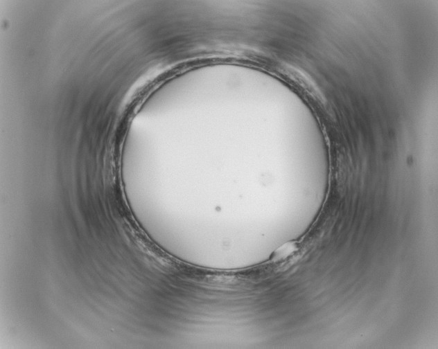 X0000087751172200706041054