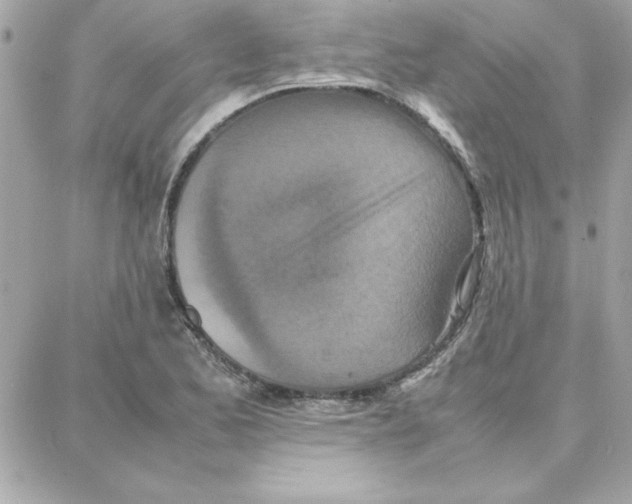 X0000087751173200706041054