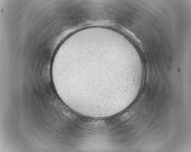 X0000087751174200706041054