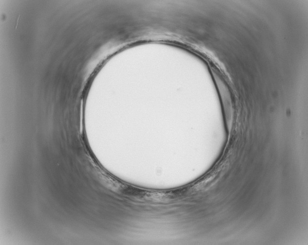 X0000087751175200706041054