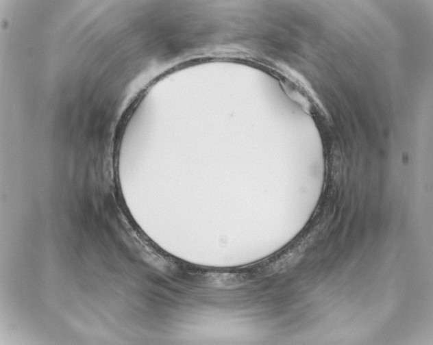 X0000087751176200706041054