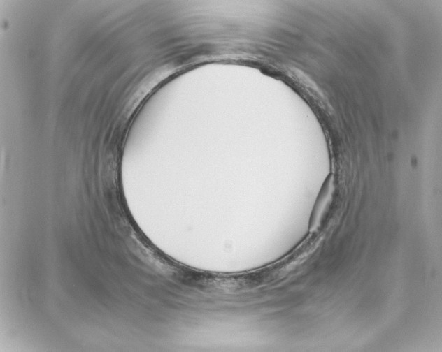 X0000087751177200706041054