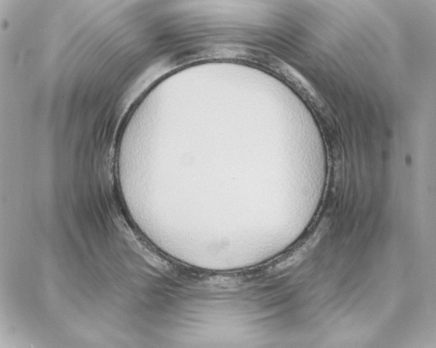 X0000087751178200706041054