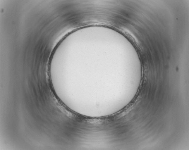 X0000087751182200706041054